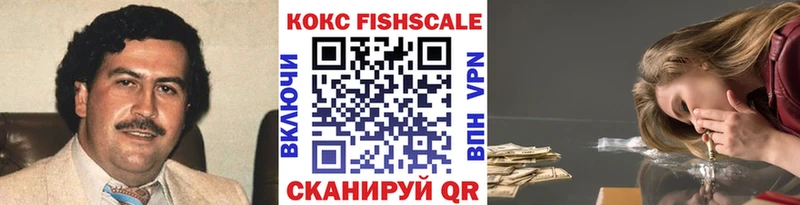 Cocaine FishScale  закладки  Шимановск 