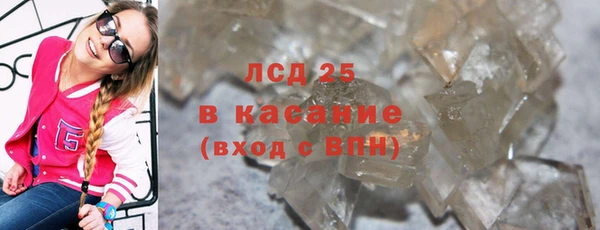 ГАЛЛЮЦИНОГЕННЫЕ ГРИБЫ Верея