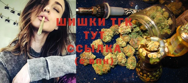 ГАЛЛЮЦИНОГЕННЫЕ ГРИБЫ Верея