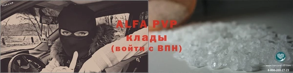 ГАЛЛЮЦИНОГЕННЫЕ ГРИБЫ Верея