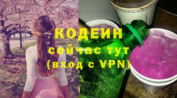 ГАЛЛЮЦИНОГЕННЫЕ ГРИБЫ Верея
