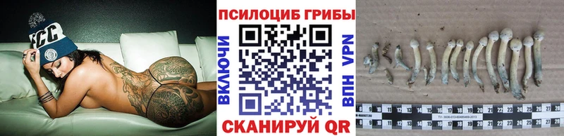 как найти закладки  Шимановск  blacksprut ONION  Галлюциногенные грибы мухоморы 
